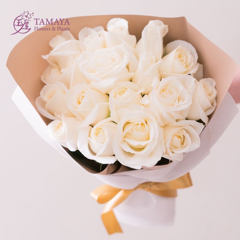 纯爱 18朵 - 植栽/盆栽 - 植物．花 白色