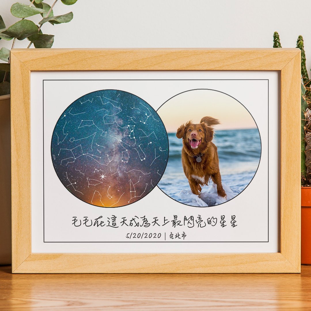 定制化宠物过世当天的真实星空夜晚A3木框挂画小狗狗猫咪纪念礼物 - 画框/相框 - 木头 白色