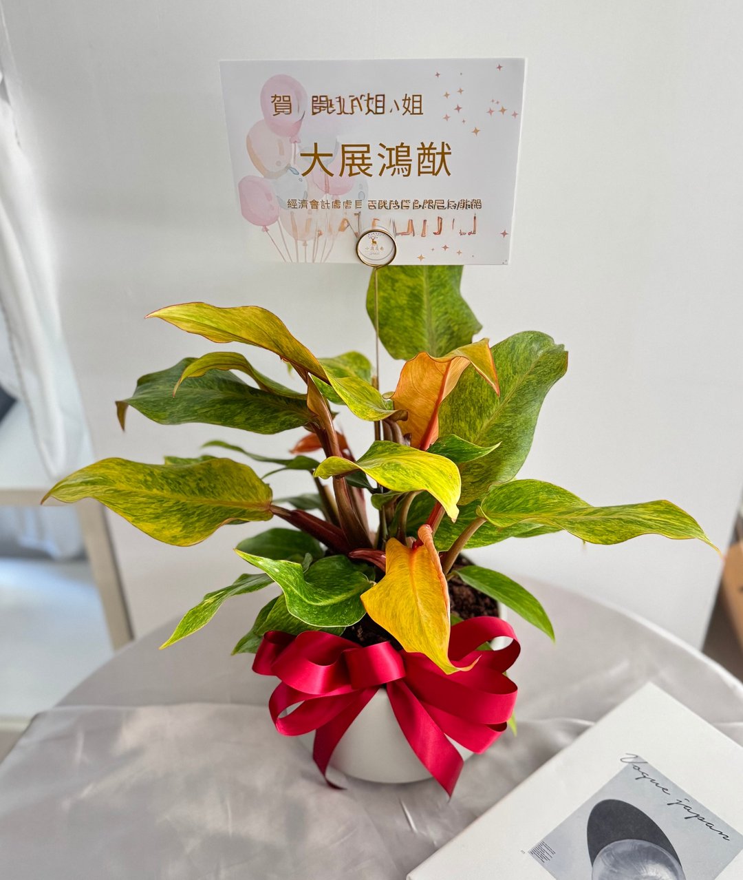植物贺礼 盆栽 植栽 开幕 升迁 调职 - 植栽/盆栽 - 植物．花 