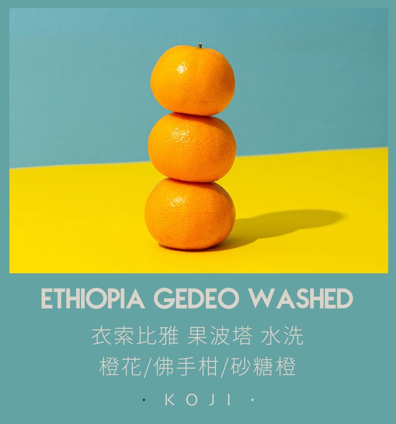 埃塞俄比亚 浅烘焙 果波塔 水洗 咖啡豆 挂耳包 - 咖啡 - 新鲜食材 白色