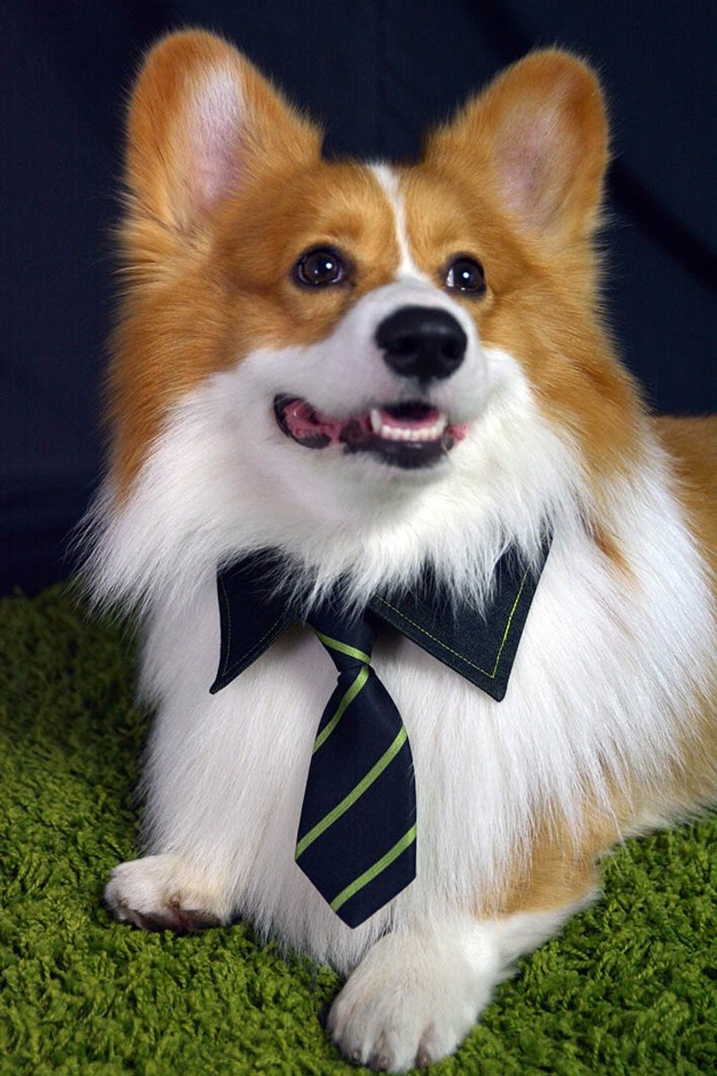 宠物单面衬衫领- 黄蓝色YE (XL/2XL/3XL) - 衣/帽 - 其他材质 蓝色