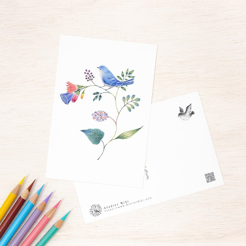 Set of 5 pieces. Like a picture book. Postcard "Blue Birds and Flowers" PC-71 - 卡片/明信片 - 纸 蓝色