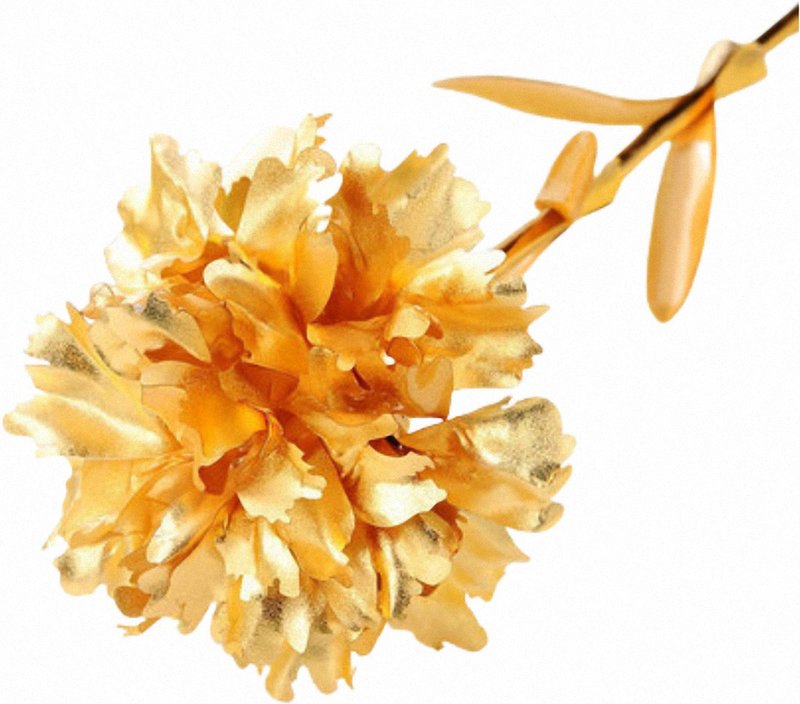 黄金康乃馨│一份真情│一份永恒的爱│圣诞礼物 - 干燥花/捧花 - 24k 金 金色