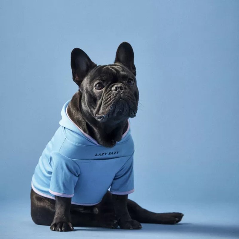 狗狗连帽凉凉衣 功能运动  降温 - 衣/帽 - 其他材质 蓝色