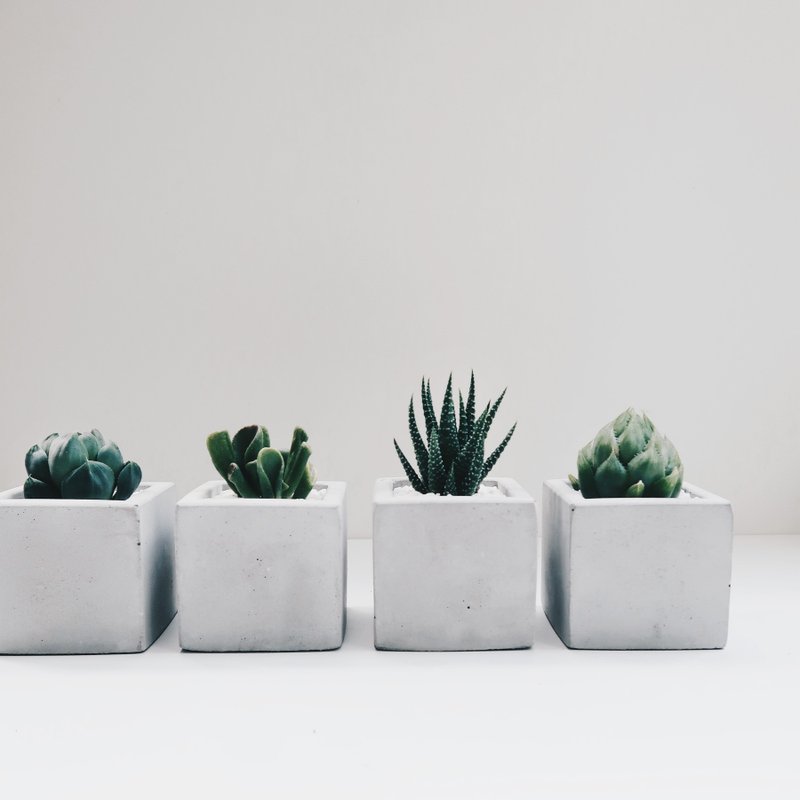 SINGLE HOUSE 极简住宅 | 多肉 / 仙人掌方型水泥盆栽 - 植栽/盆栽 - 水泥 灰色