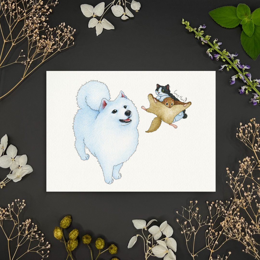 【猫疯子】明信片(53) - 卡片/明信片 - 纸 多色