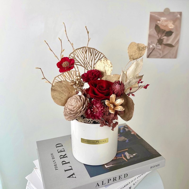 【艹弄花艺】蛇灿年发-永生盆花 - 干燥花/捧花 - 植物．花 