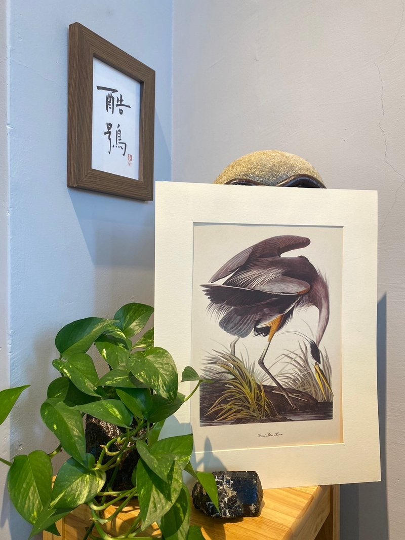 美国鸟类学家Roger Tory Peterson鸟类图鉴版画 - 海报/装饰画/版画 - 纸 