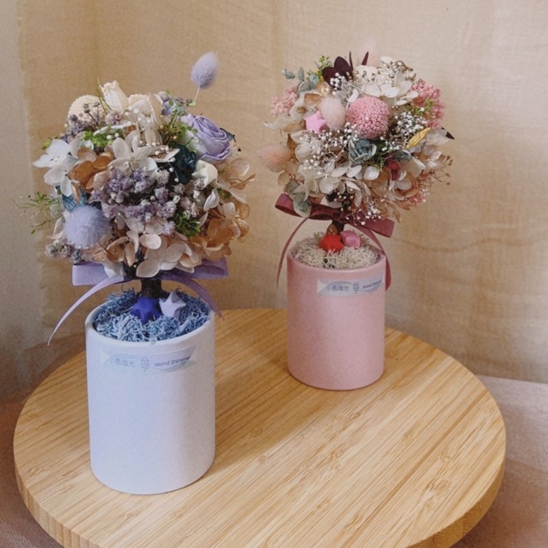许愿星球 - 永生花球树 - 干燥花/捧花 - 植物．花 