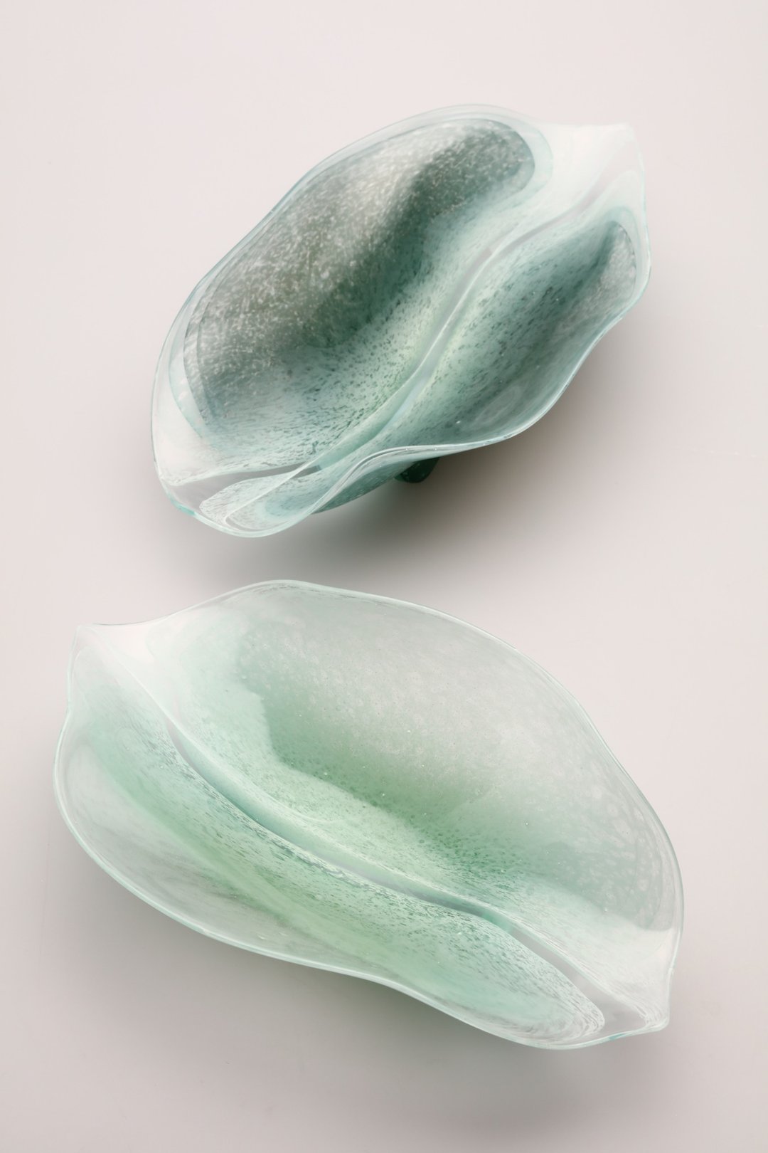 Magnolia obovata - 盘子/餐盘/盘架 - 玻璃 绿色