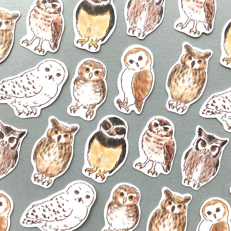 猫头鹰独立贴纸 猫头鹰【32张入】 - 贴纸 - 纸 咖啡色