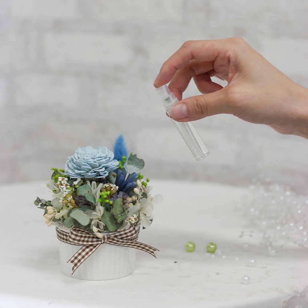 【一人成团】香氛扩香索拉花盆花含精油 干燥花手作课程 台中 - 植栽 - 植物．花 