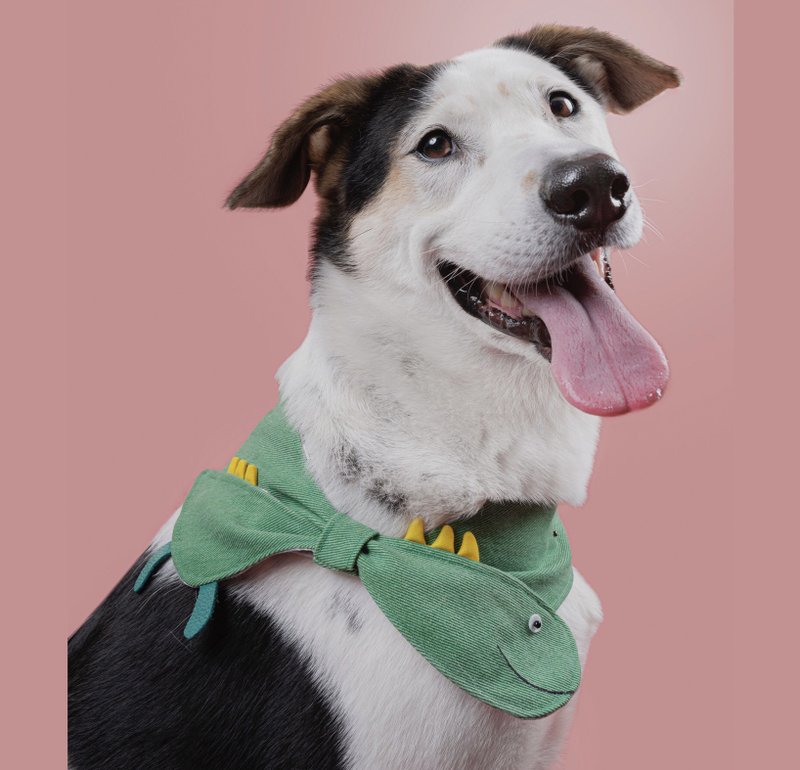 恐龙啾啾领巾-绿色 - 衣/帽 - 其他材质 绿色