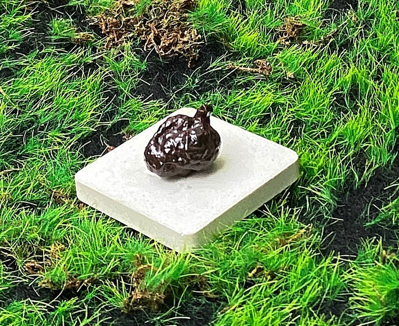 能量摆饰-精选天然埃及预言石可爱小草莓造型原矿 快速出货 - 摆饰 - 石头 咖啡色