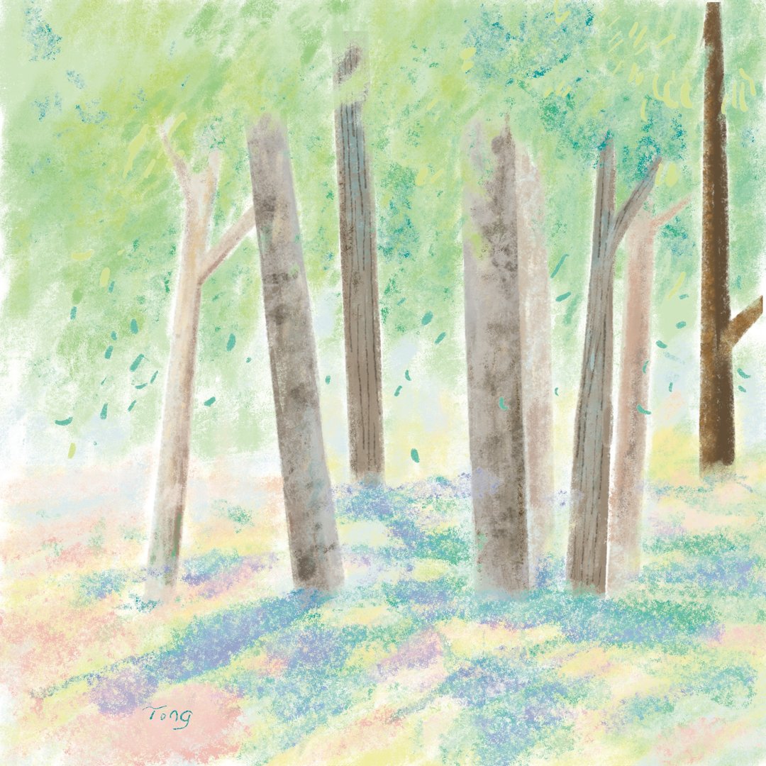 春天【一年风景】明信片 - 卡片/明信片 - 纸 