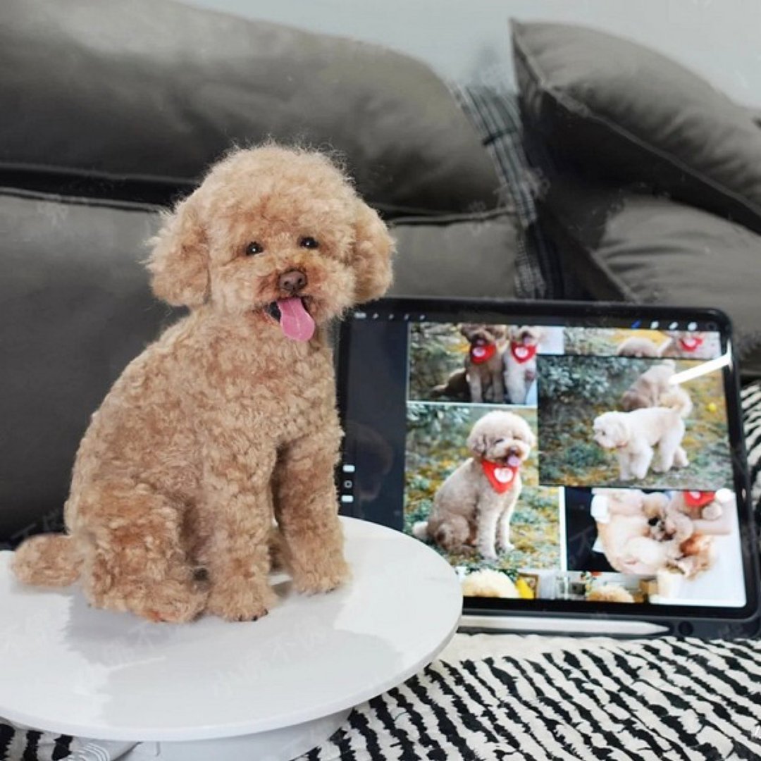 定制 逼真犬 毛孩 宠物 泰迪 羊毛毡 娃娃 似颜绘 纪念 狗狗 t3 - 玩具 - 羊毛 多色