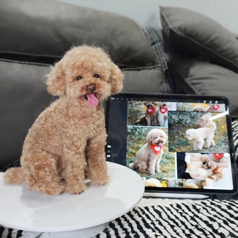 定制 逼真犬 毛孩 宠物 泰迪 羊毛毡 娃娃 似颜绘 纪念 狗狗 t3 - 玩具 - 羊毛 多色