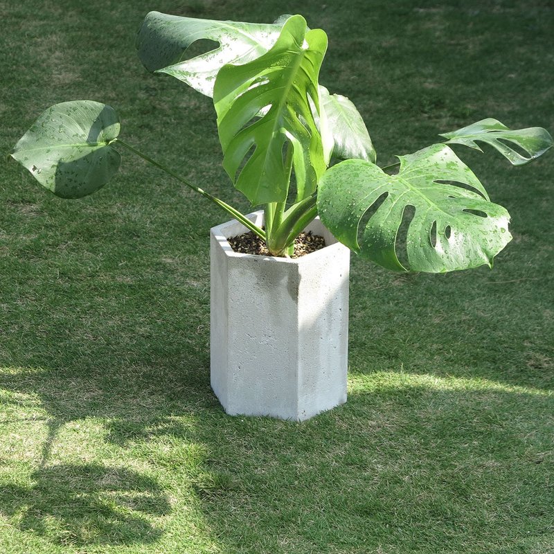 Harmony水泥花器 - 植栽/盆栽 - 水泥 