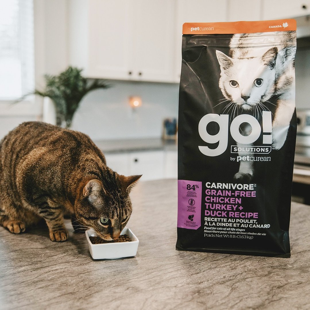 【猫主食】go! 四种肉全猫 高肉量系列 无谷 猫饲料 低碳水 - 猫罐头/鲜食 - 新鲜食材 
