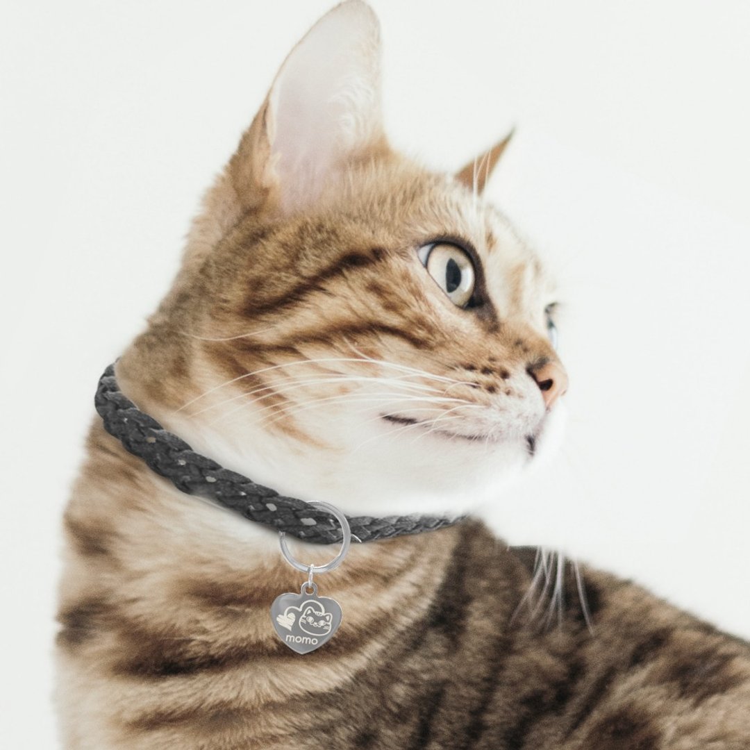 定制化雷射刻字猫星人宠物名牌吊牌 - 项圈/牵绳 - 其他材质 