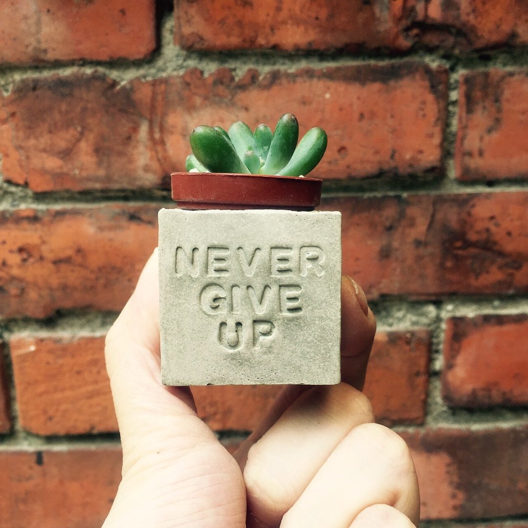 Never give up永不放弃～多肉磁铁盆栽 - 植栽/盆栽 - 水泥 灰色