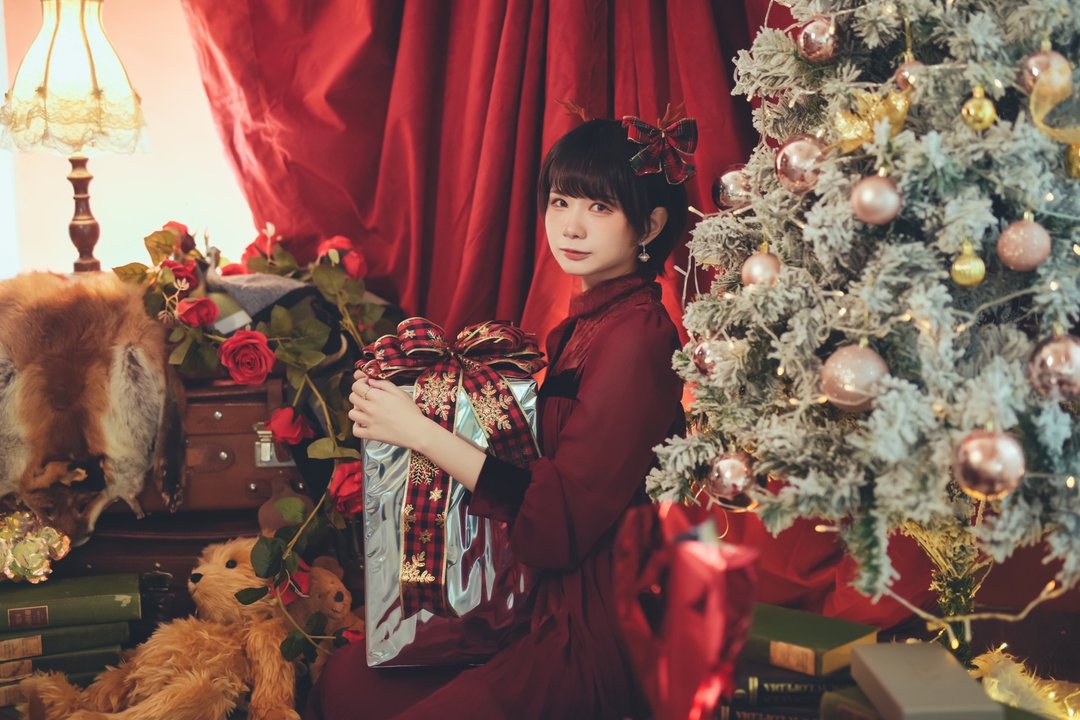 料质Fabric Merry Merry 圣诞节 古董洋服纪念写真 - 摄影/心灵/讲座 - 其他材质 