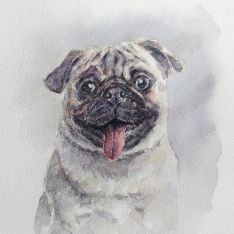 水彩狗仔似颜绘 宠物画 连框 - 订制画像 - 纸 白色