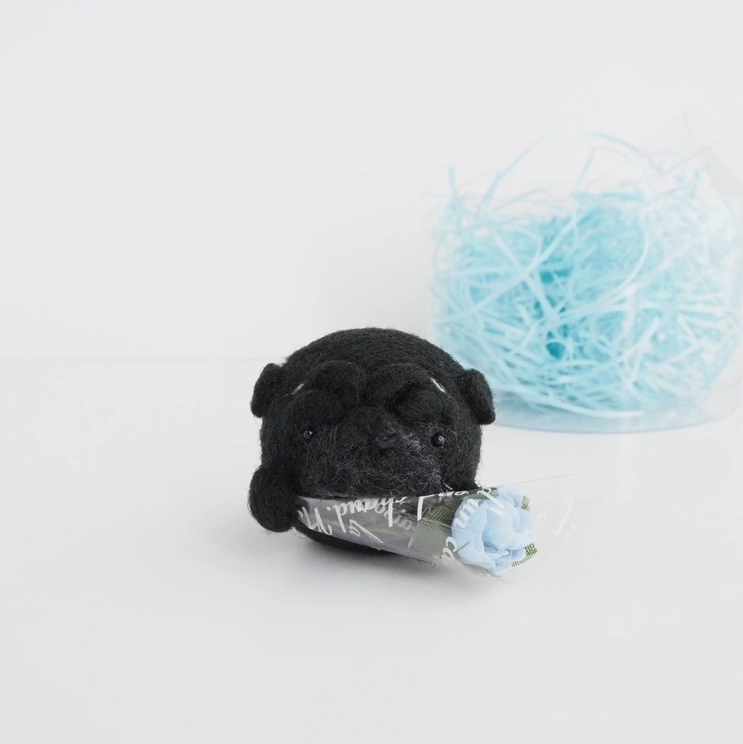 Mayu(eyebrows) Black pug presents a light blue flower Needle felt (wool felt) - 玩偶/公仔 - 羊毛 黑色