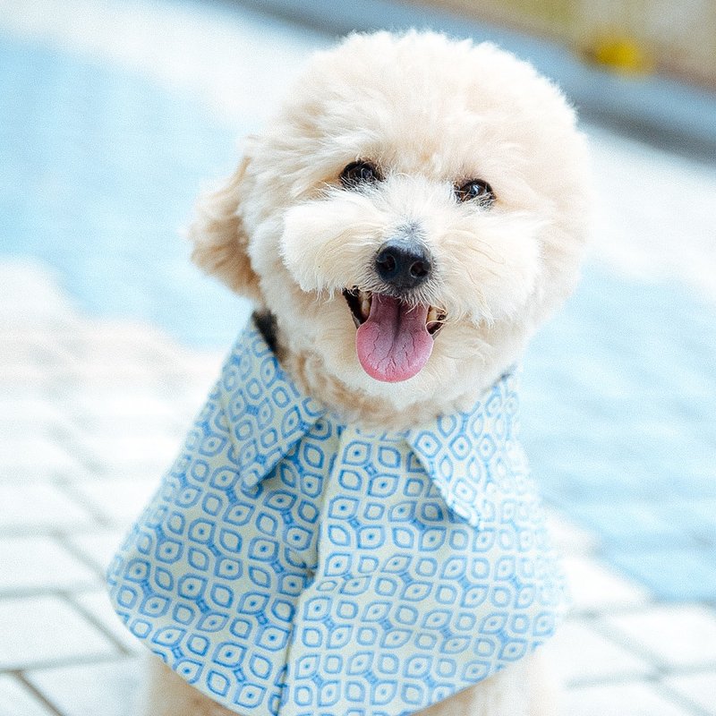 毛毛之森 Momojism 宠物衣服 - 斗篷 - Casablanca - 衣/帽 - 棉．麻 黄色