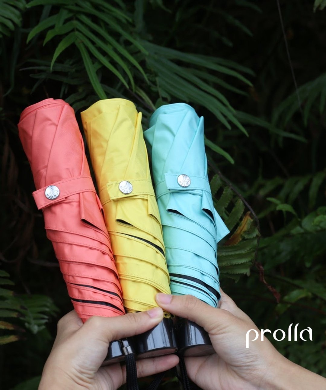 Prolla 圆弧迷你系列 | 纯色伞面 轻量 全遮光抗UV 防风晴雨伞 - 雨伞/雨衣 - 防水材质 橘色