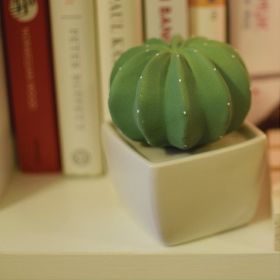 Dotti cactus ceramic diffuser - 摆饰 - 陶 绿色