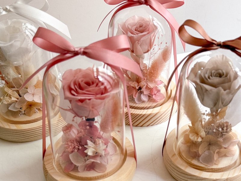 永生玫瑰花指尖小钟罩 - 干燥花/捧花 - 植物．花 多色