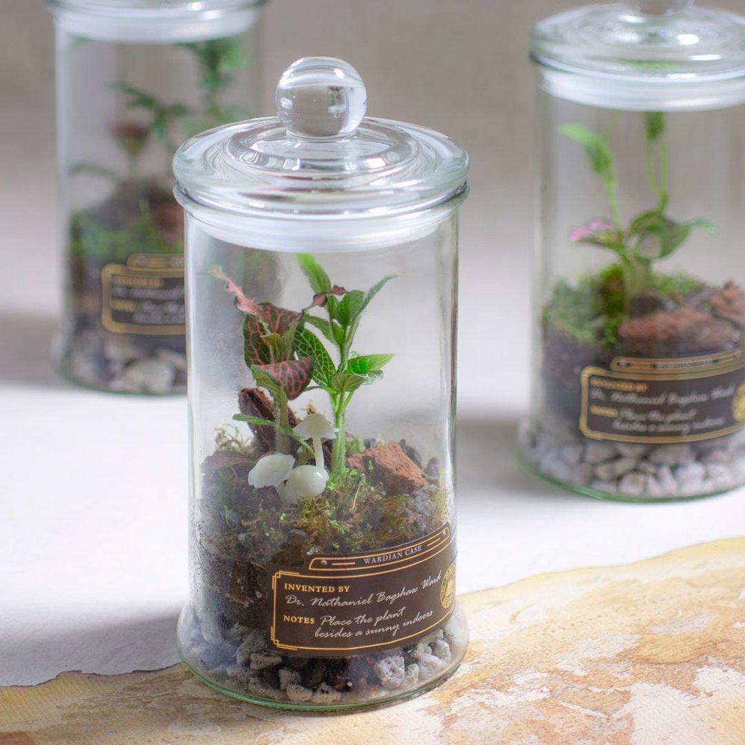 (松菸)打造自己的华德箱/植物生态瓶【成人班】 - 植栽 - 植物．花 