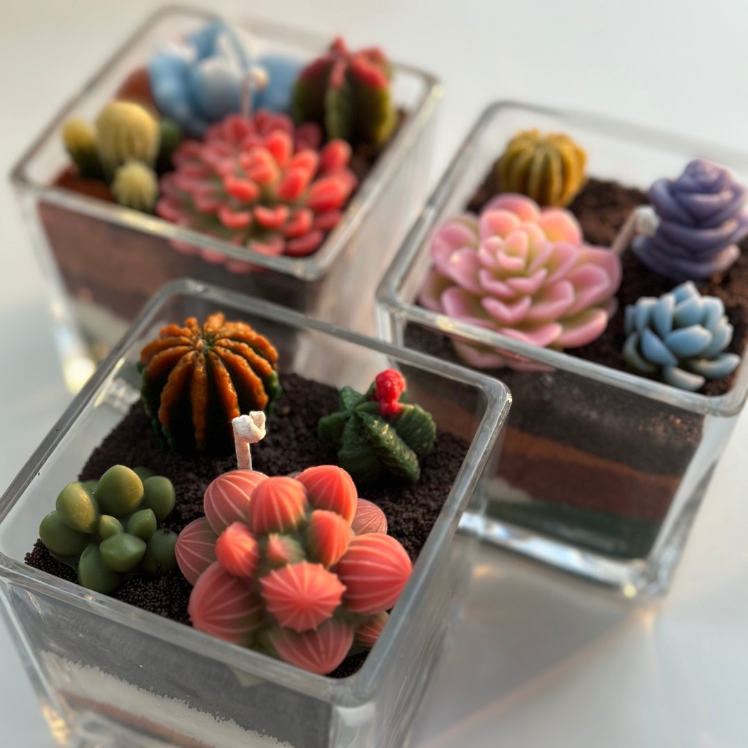 多肉植物蜡烛工作坊 - 蜡烛/香氛 - 蜡 