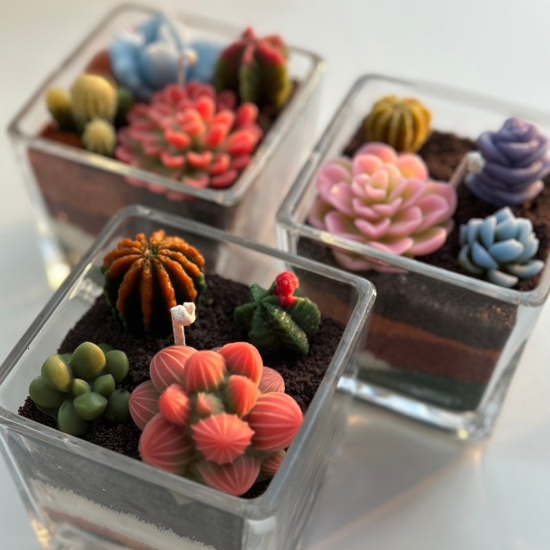 多肉植物蜡烛工作坊 - 蜡烛/香氛 - 蜡 