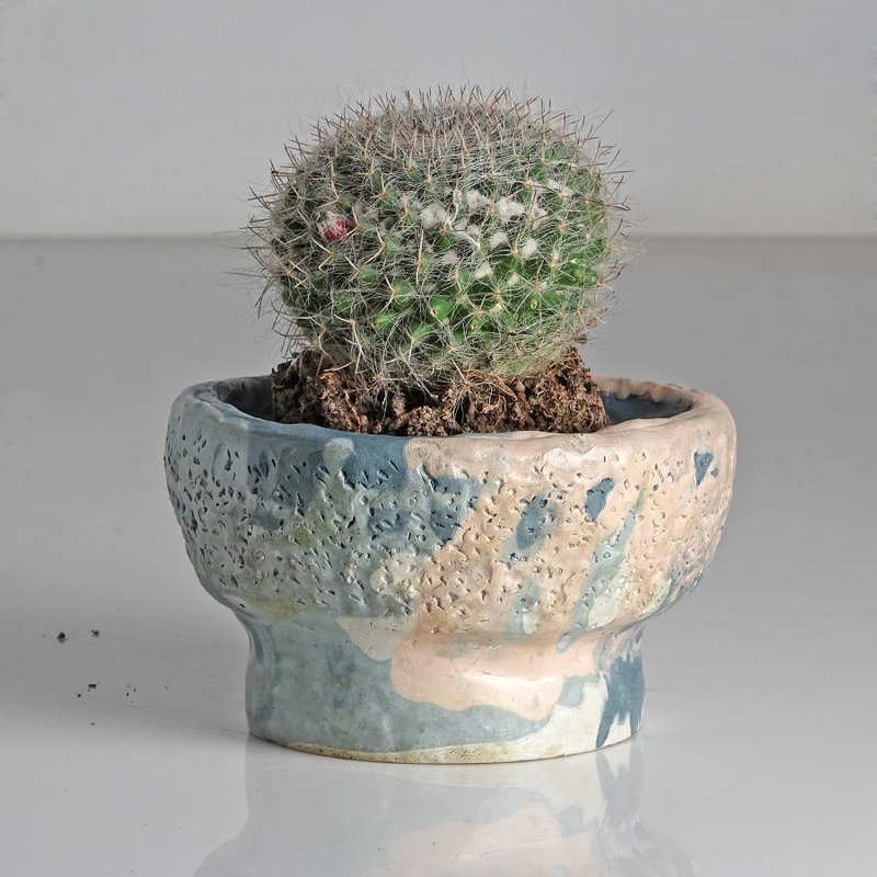 水泥盆器 - 植栽/盆栽 - 水泥 