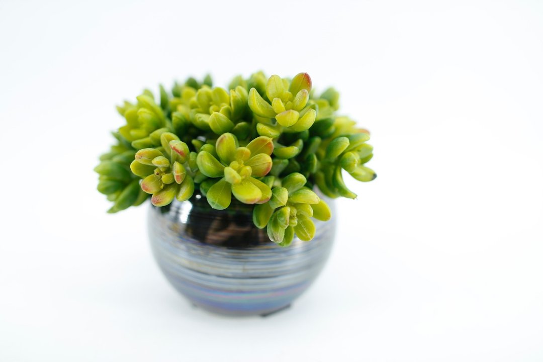 人造花饰-珍珠黑圆盆多肉花饰 - 植栽/盆栽 - 其他材质 绿色