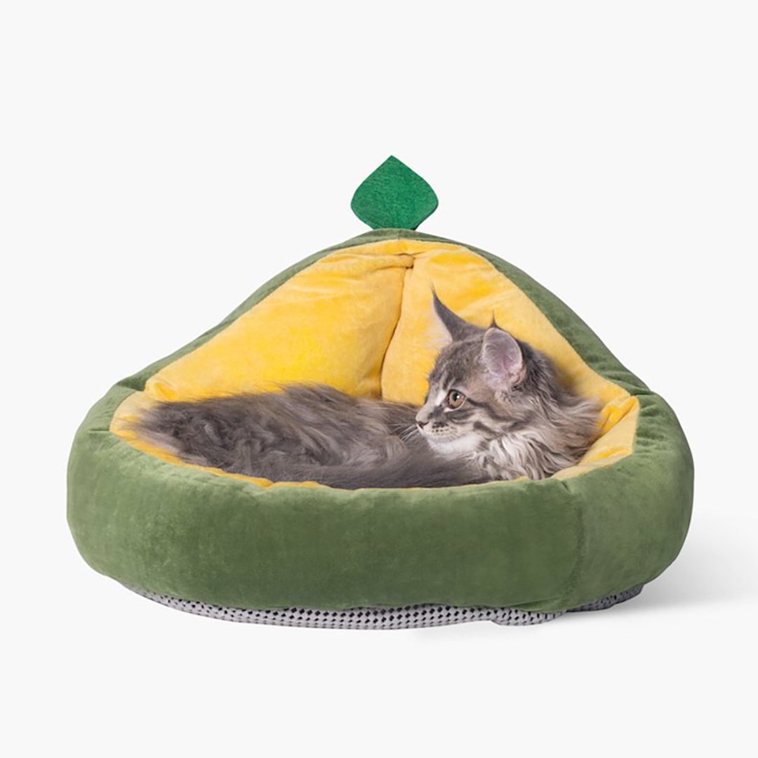 猫窝 宠物窝 牛油果 可拆卸垫子 冬季保暖超小型狗窝 宠物用品 - 床垫/笼子 - 棉 绿色