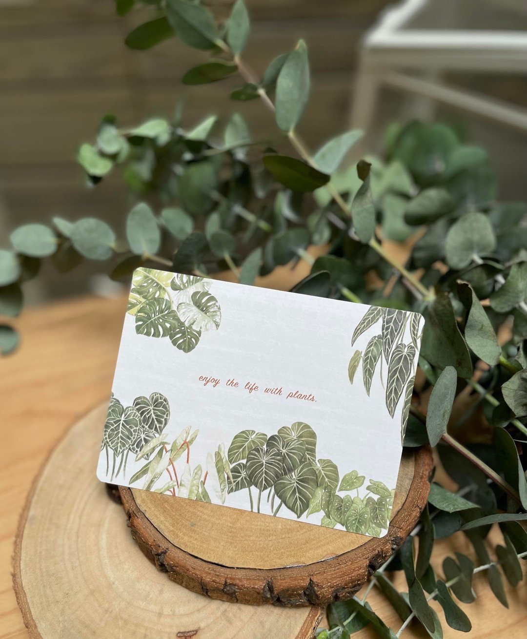 观叶植物 / 天南星科植物 明信片 - 卡片/明信片 - 纸 