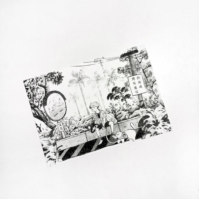 绒绒森林- 阿里山途 明信片 - 卡片/明信片 - 纸 