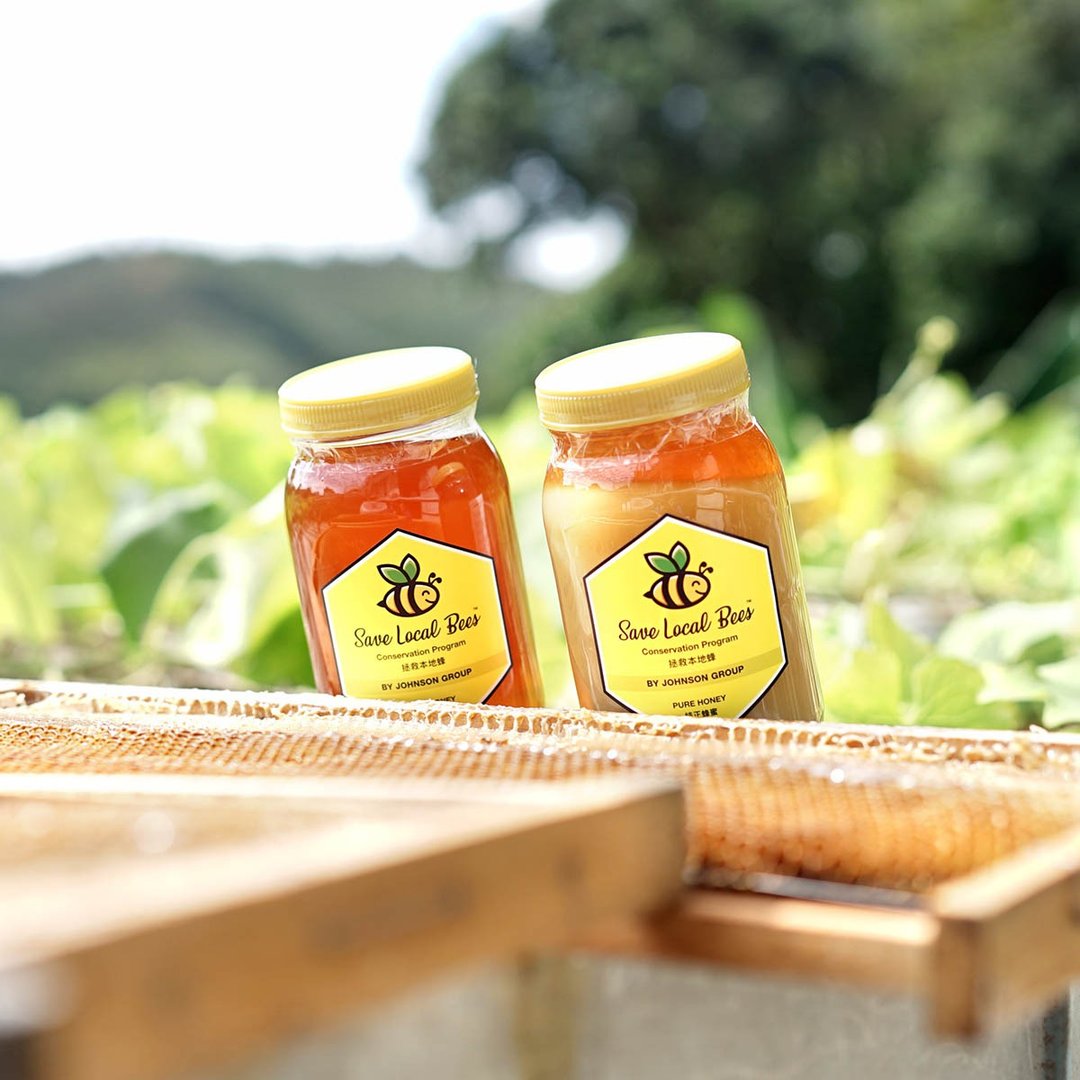 Save Local Bees 冬蜜 500g——鸭脚木蜜 - 蜂蜜/黑糖 - 玻璃 多色