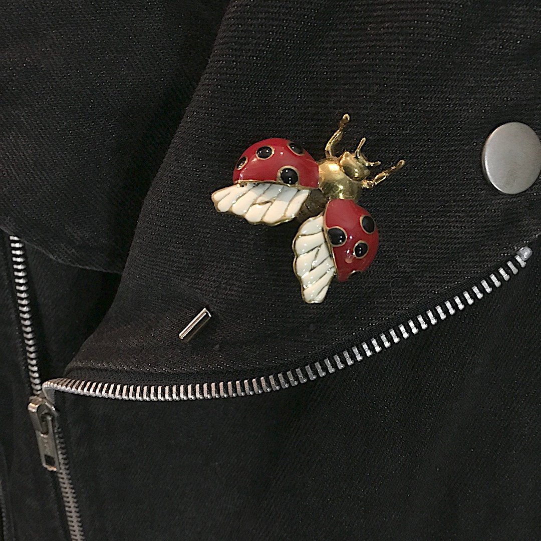 ladybug Lapel Pin in brass with enamel color - 胸针 - 其他金属 红色