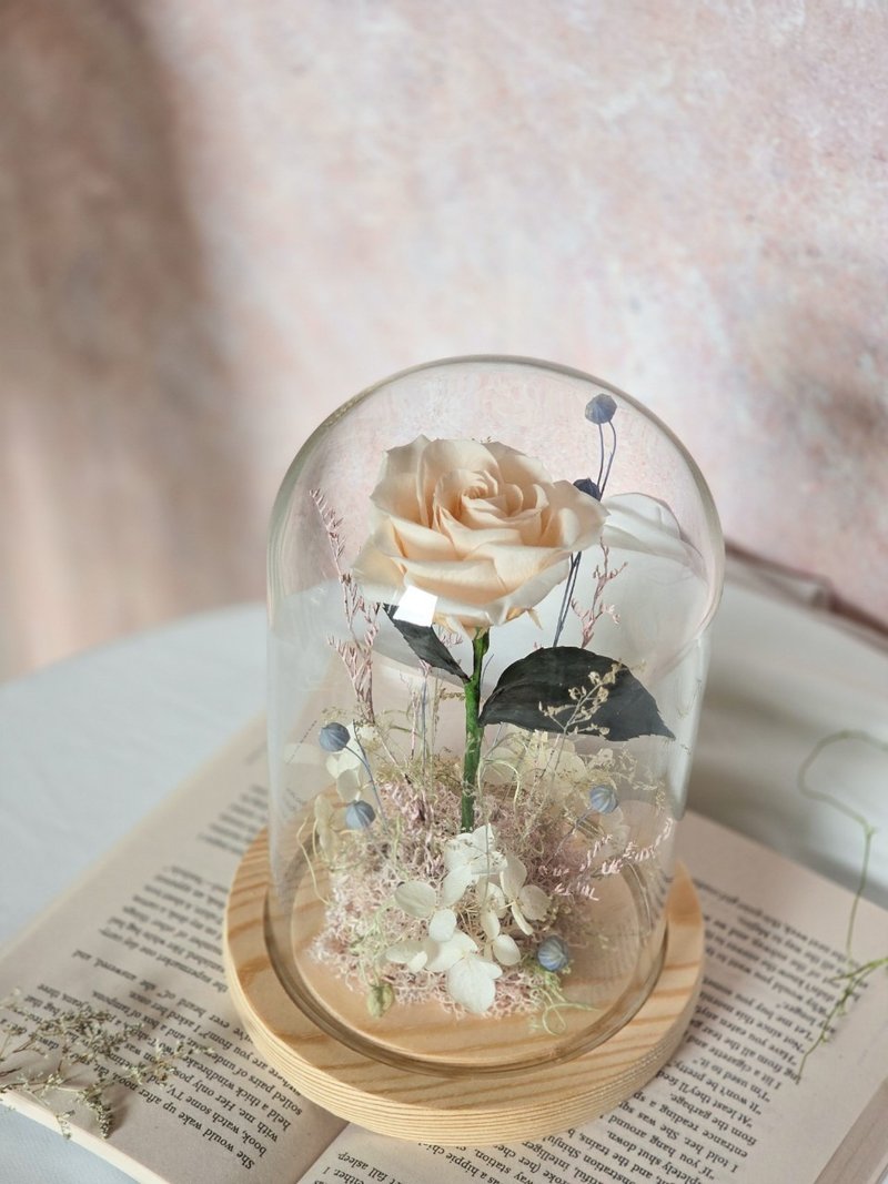 小王子玻璃花钟 (香槟款) 不凋花 永生花 干燥花 永生花小夜灯 - 干燥花/捧花 - 植物．花 白色