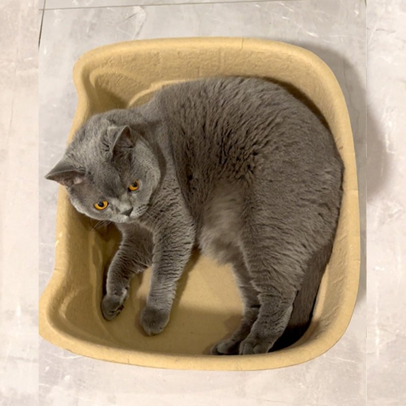 小猫造型纸浆猫窝 猫屋 猫抓板 猫睡床 瓦楞纸 楞纸不掉屑耐磨 - 床垫/笼子 - 纸 