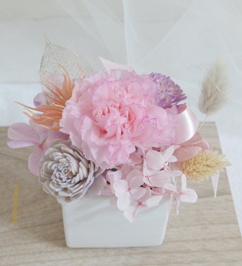 永生康乃馨盆花 母亲节开幕调职升迁退休毕业礼物致不平凡的妈妈 - 干燥花/捧花 - 植物．花 粉红色