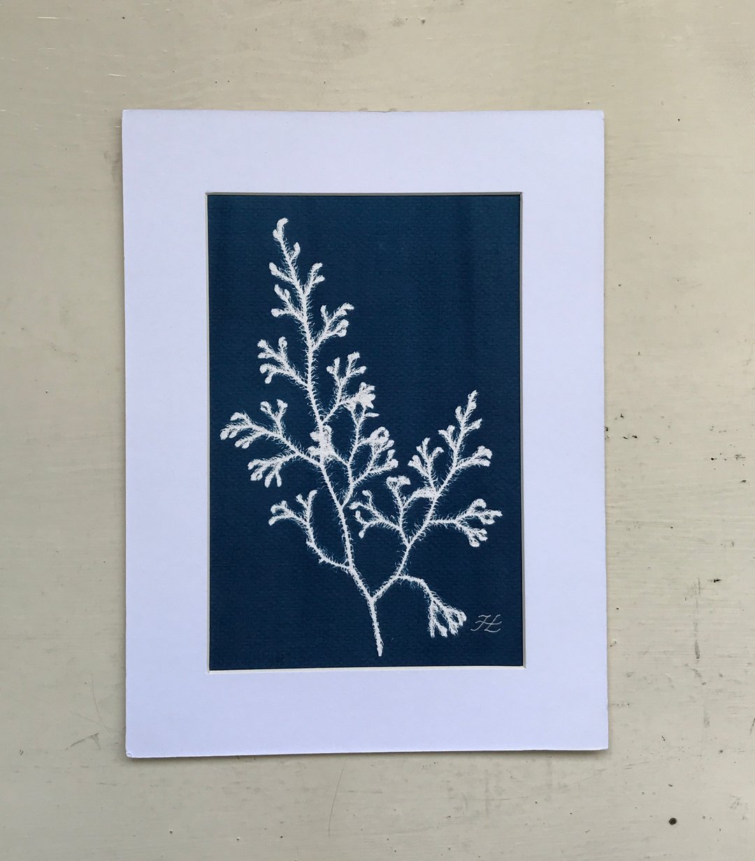植物剪影。手作蓝晒框画 - 墙贴/壁贴 - 纸 蓝色