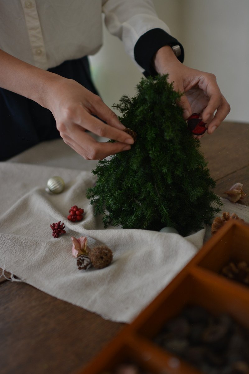 【好花】永生圣诞树DIY材料包 - 植栽 - 植物．花 多色