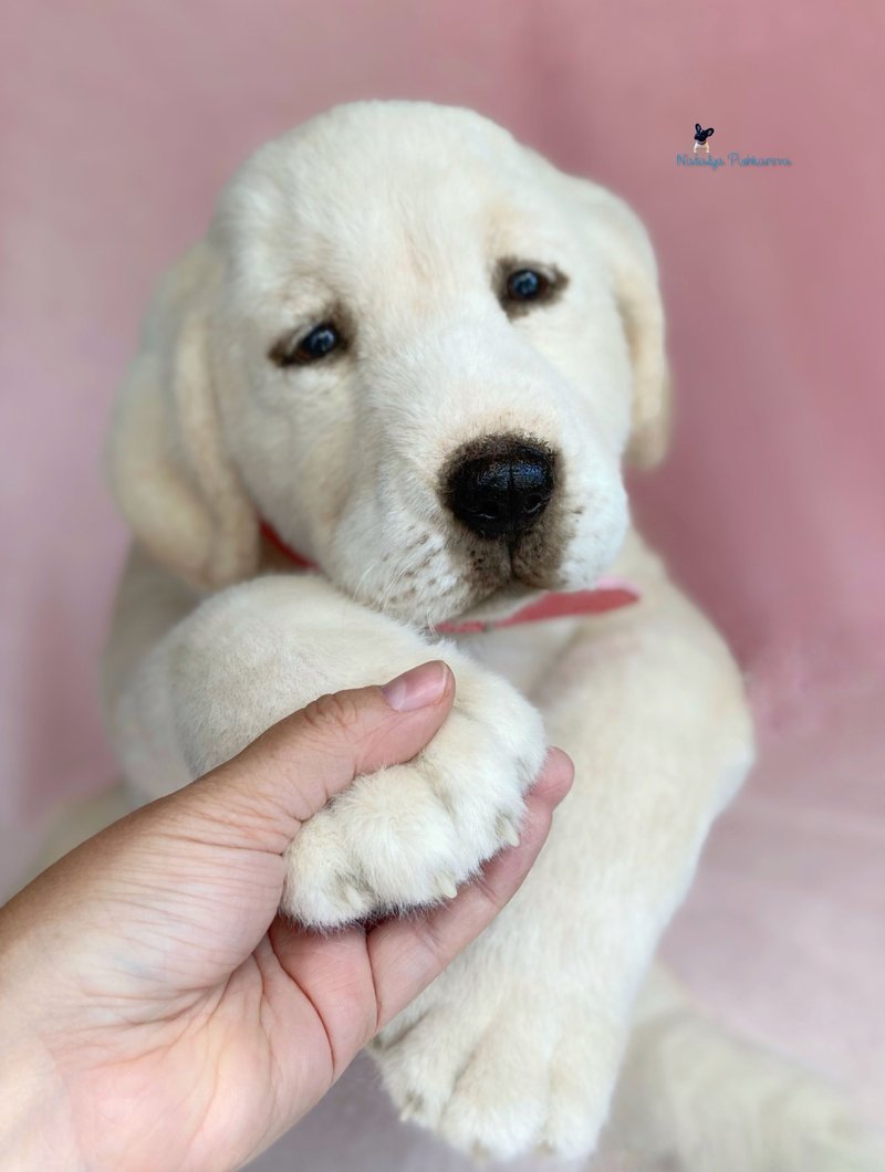 拉布拉多犬宠物肖像逼真玩具毛绒玩具 - 玩偶/公仔 - 聚酯纤维 白色