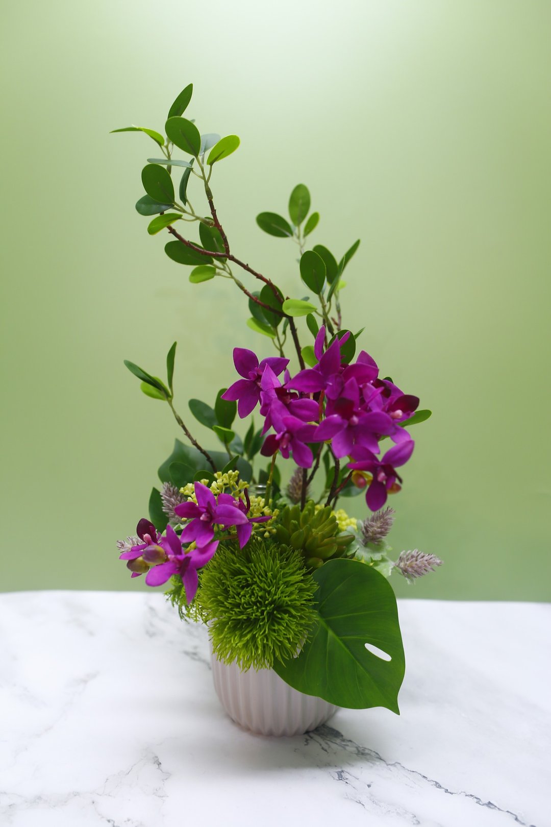 雅致桃红蝴蝶兰榕枝香氛花礼/拟真植物/人造盆栽/绿化/布置/礼物 - 植栽/盆栽 - 其他材质 紫色