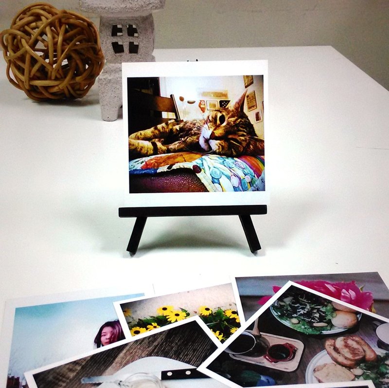 老派经典 银版相片风( 4张 + 彩色小画架1组) - 摄影集 - 纸 